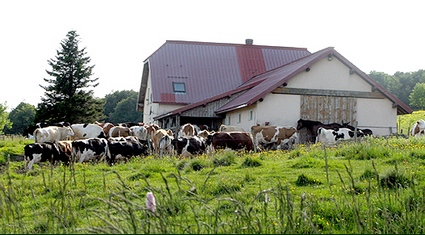 Ferme Auberge des 3 fours